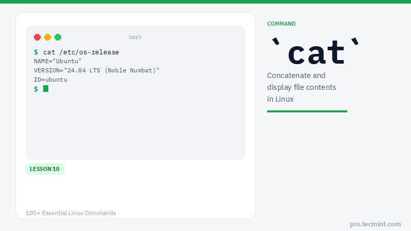Lesson 11: cat Command
