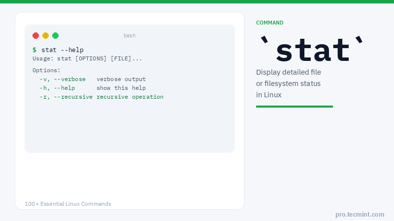 Lesson 14: stat Command
