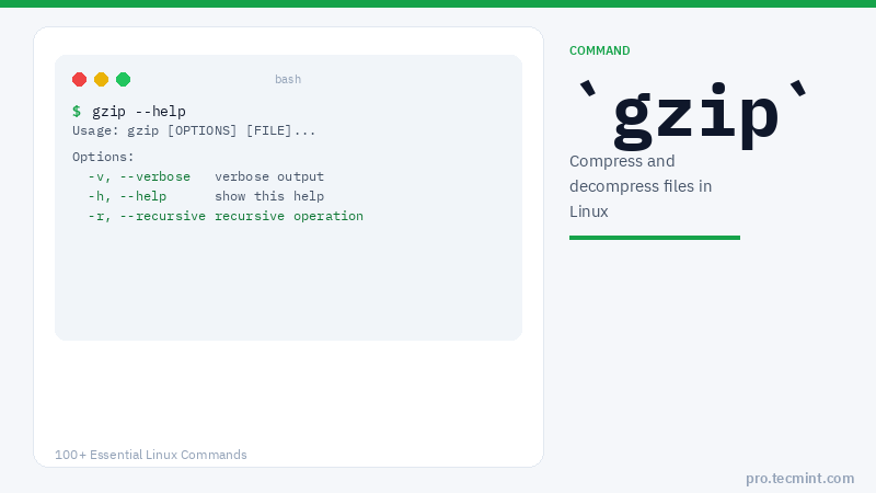 Lesson 21: gzip Command