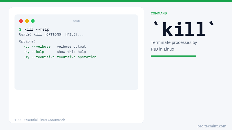 Lesson 39: kill Command
