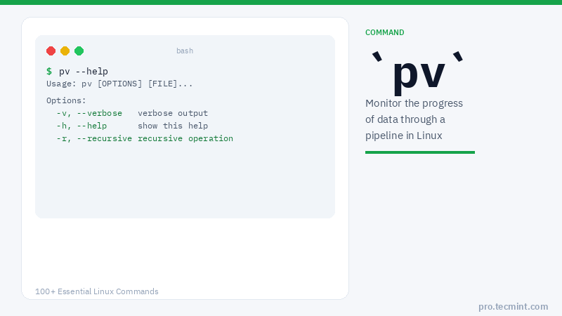 Lesson 40: pv Command