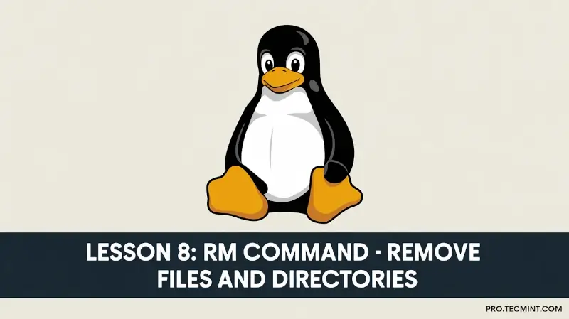Lesson 8: rm Command