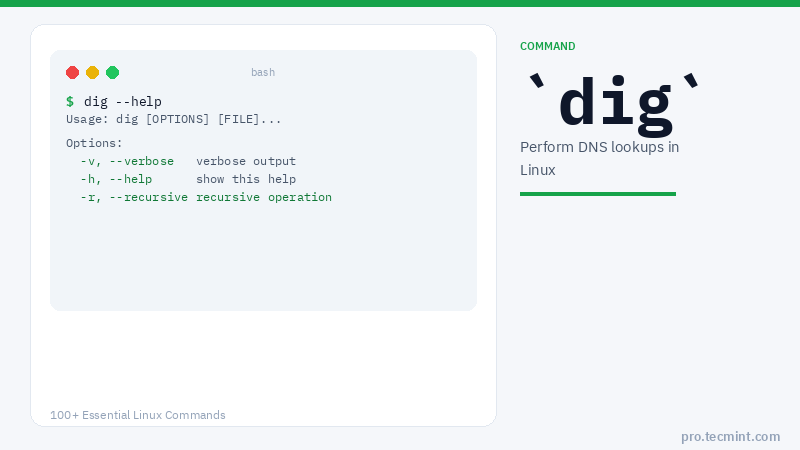 Lesson 85: dig Command