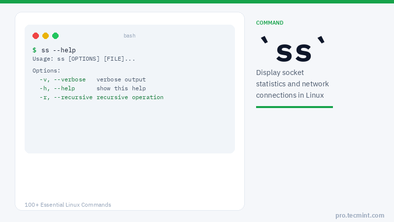 Lesson 81: ss Command