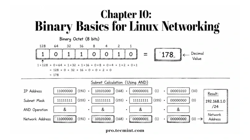 Chapter 10: Binary Basics for Linux Networking