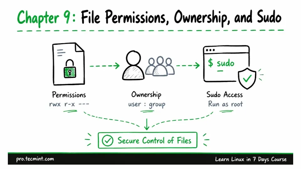 Chapter 9: File Permissions, Ownership, and Sudo