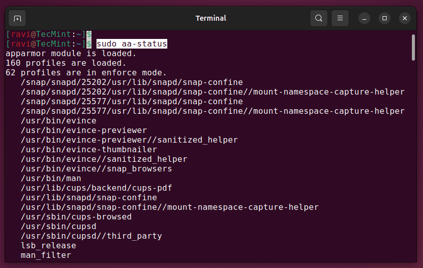Chapter 12: Beginner’s Guide to Securing Ubuntu